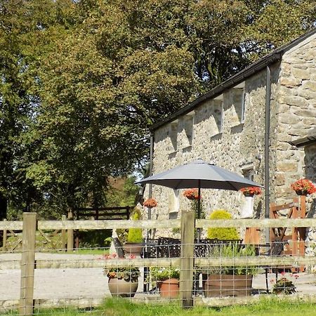 טוויסטוק Lower Willsworthy Cottage מראה חיצוני תמונה