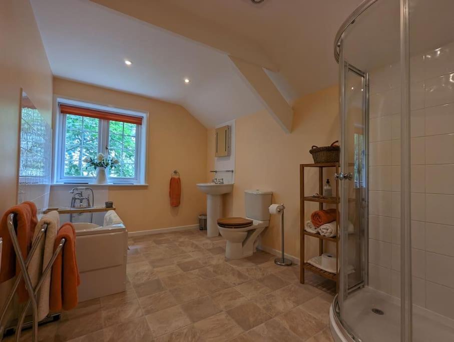 טוויסטוק Lower Willsworthy Cottage מראה חיצוני תמונה