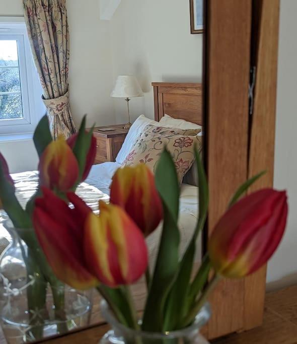 טוויסטוק Lower Willsworthy Cottage מראה חיצוני תמונה