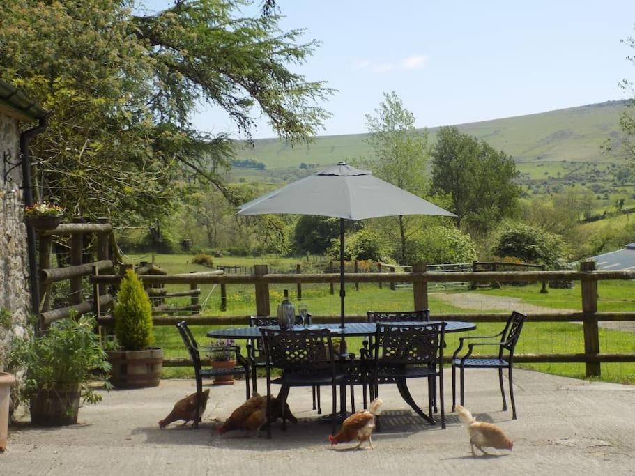טוויסטוק Lower Willsworthy Cottage מראה חיצוני תמונה
